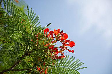 Steam最新一周销量榜 《绝地潜兵2》连冠